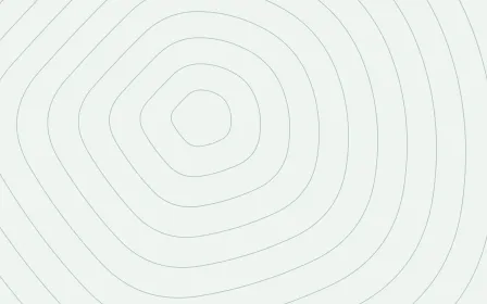 Junipera Terrain — light white and green contour line background