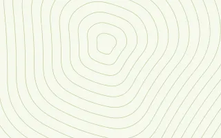 Meadowlark Relief III — light white and green contour line background, variation III