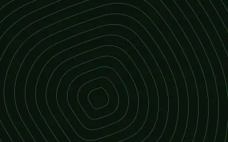 Moss Hollow Relief II — dark black and green contour line background, variation II