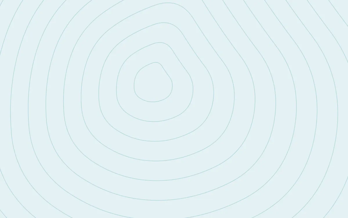 Petrol Quiet Lines — light teal contour line background