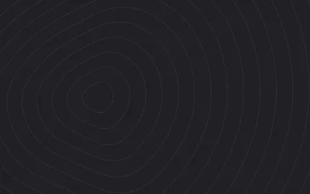 Porcelain Ink Ink Lines — dark grey contour line background