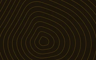 Royal Gold Ink Lines — dark black and gold contour line background