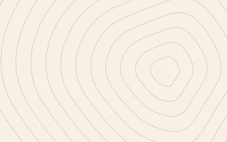 Terra Terrain — light beige and orange contour line background