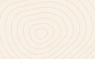 Terra Terrain II — light beige and orange contour line background, variation II