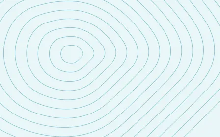 Tidepool Relief — light teal contour line background