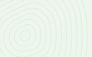 Verdana Terrain II — light white and green contour line background, variation II