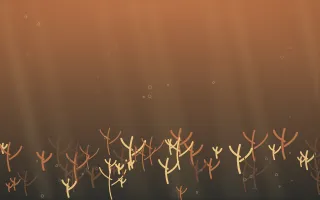 Autumn Glow Coral Reef XI — colourful orange, brown and grey coral reef background, variation XI