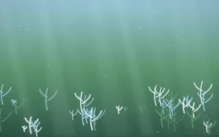 Clear Day Coral Reef VIII — light blue and green coral reef background, variation VIII