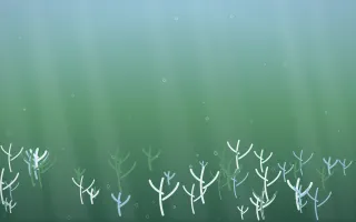 Clear Day Coral Reef X — light blue and green coral reef background, variation X