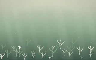 First Light Coral Reef — light beige and green coral reef background