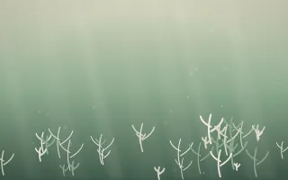 First Light Coral Reef III — light beige and green coral reef background, variation III