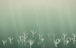First Light Coral Reef IV — light beige and green coral reef background, variation IV