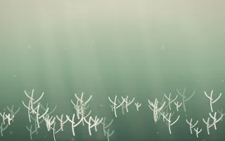 First Light Coral Reef XI — light beige and green coral reef background, variation XI