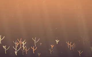 Golden Hour Coral Reef — colourful orange and pink coral reef background