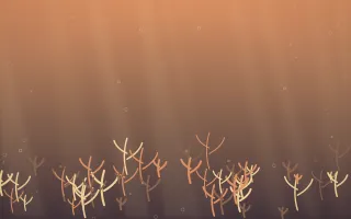 Golden Hour Coral Reef IX — colourful orange and pink coral reef background, variation IX