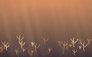Golden Hour Coral Reef V — colourful orange and pink coral reef background, variation V