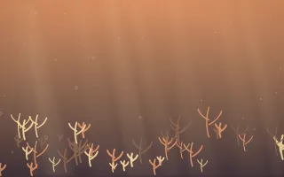 Golden Hour Coral Reef VIII — colourful orange and pink coral reef background, variation VIII