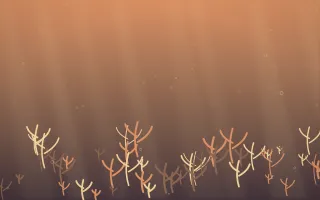 Golden Hour Coral Reef X — colourful orange and pink coral reef background, variation X
