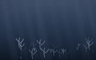 Moonlight Coral Reef — dark blue coral reef background