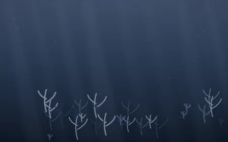 Moonlight Coral Reef — dark blue coral reef background