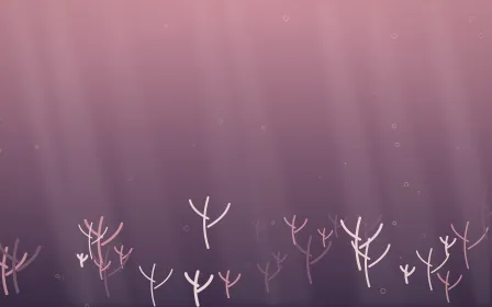 Rose Dusk Coral Reef — colourful red, pink and purple coral reef background