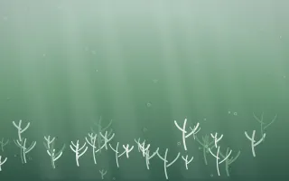 Spring Rain Coral Reef IV — light white and green coral reef background, variation IV