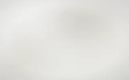 Neutral Authority — light grey and white corporate background