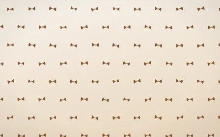 Cocoa Bows — light brown, orange and white cute background