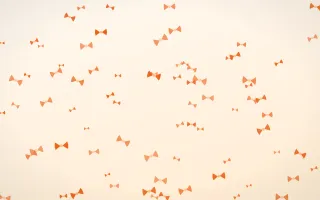 Coral Bows III — light orange and white cute background, variation III