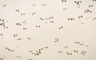 Espresso Bows III — light brown, orange and beige cute background, variation III