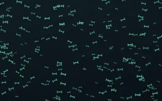 Midnight Garden Bows Dense II — dark green and black cute background, variation II