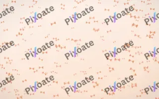 Peach Fuzz Bows Dense — light orange and white cute background