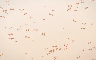 Terracotta Bows — light orange and beige cute background