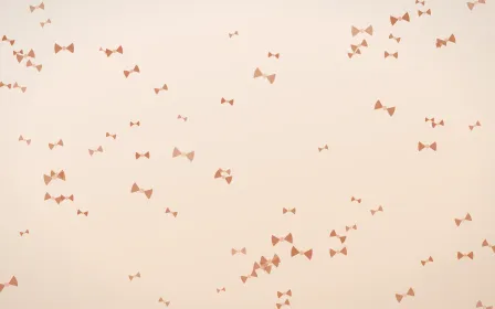 Terracotta Bows — light orange and beige cute background