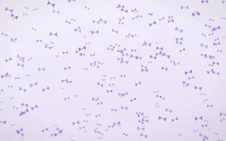 Wisteria Bows Dense III — light purple and white cute background, variation III