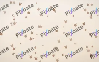 Mocha Milk Kittens — light orange and white cute background