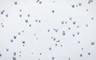 Slate Mist Kittens — light blue and white cute background