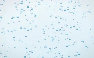 Arctic Frost Cherries Dense III — light blue and white cute background, variation III