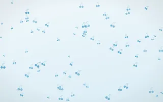 Arctic Frost Cherries II — light blue and white cute background, variation II