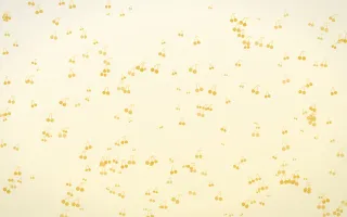 Buttercream Cherries Dense — light gold, yellow and white cute background
