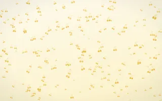 Buttercream Cherries Dense III — light gold, yellow and white cute background, variation III
