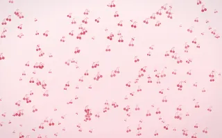Cherry Soda Cherries Dense — light red and white cute background