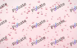 Cherry Soda Cherries Dense — light red and white cute background