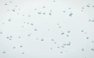 Coastal Fog Cherries II — light blue and white cute background, variation II