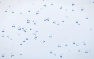 Denim Day Cherries II — light blue and white cute background, variation II