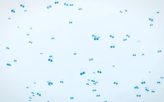 Ice Cherries III — light blue and white cute background, variation III