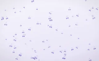 Lilac Frost Cherries II — light blue and white cute background, variation II