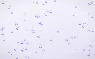 Lilac Frost Cherries III — light blue and white cute background, variation III