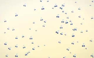 Navy Cream Cherries II — light blue and white cute background, variation II