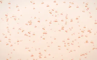 Peach Fuzz Cherries Dense — light orange and white cute background